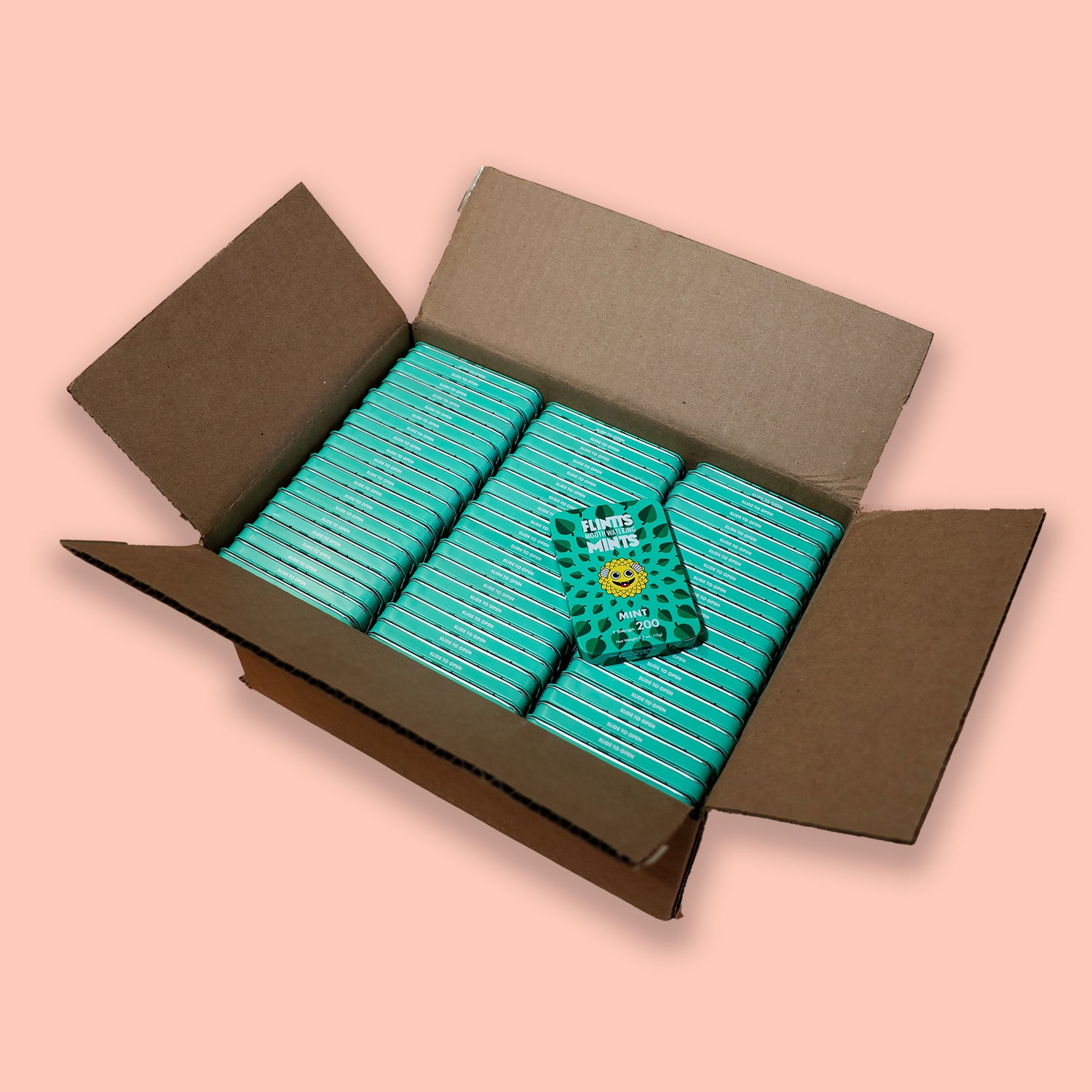 Flat Pack Cases